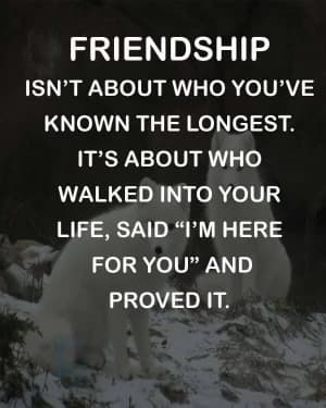 Friendship isn't about who you've known the longest. It's about who walked into your life, said, "I'm here for you," and proved it.