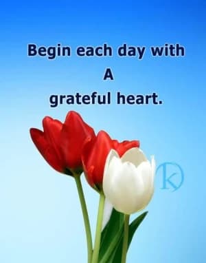 Begin each day with a grateful heart.