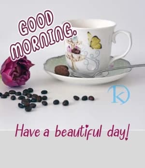 GOOD MORNING. Have a beautiful day!
