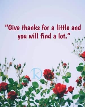 Give thanks for a little, and you will find a lot.