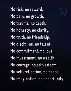 No risk, no reward. No pain, no growth. No trauma, no depth. No honesty, no clarity. No truth, no friendship. No discipline, no talent. No commitment, no love. No investment, no wealth. No courage, no self-esteem. No self-reflection, no peace. No imagination, no opportunity.