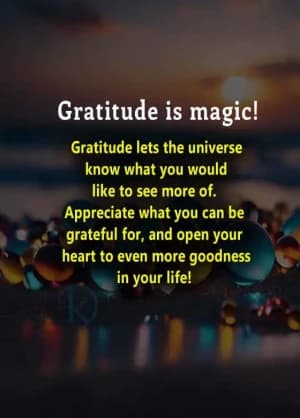 Gratitude is magic. Gratitude lets the universe know what you would like to see more of. Appreciate what you can be grateful for and open your heart to even more goodness in your life!