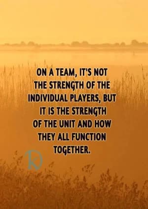 On a team, it's not the strength of the individual players, but it is the strength of the unit and how they all function together.