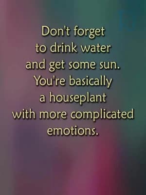 Don't forget to drink water and get some sun. You're basically a houseplant with more complicated emotions.