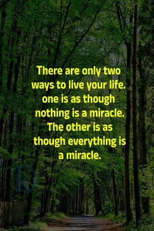 There are two ways to live your life. One is as though nothing is a miracle. The other is as though everything is a miracle.