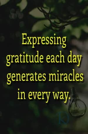 Expressing gratitude each day generates miracles in every way.