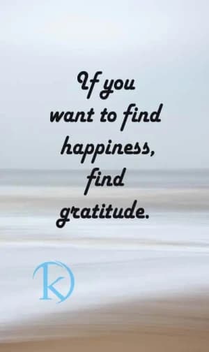 If you want to find happiness, find gratitude.