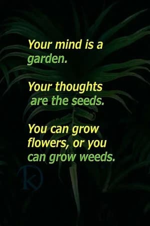 Your mind is a garden.  Your thoughts are the seeds.  You can grow flowers, or you can grow weeds.