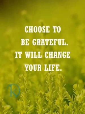 Choose to be grateful. It will change your life.