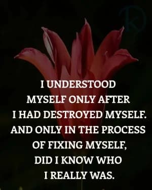 I understood myself only after I had destroyed myself. And only in the process of fixing myself did I know who I really was.