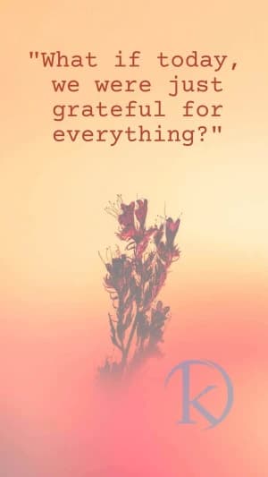 What if today, we were just grateful for everything?