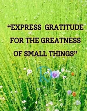 Express gratitude for the greatness of small things.