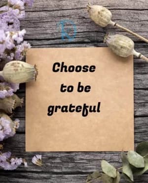 Choose to be grateful.