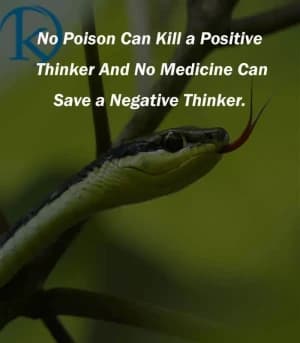 No poison can kill a positive thinker. And no medicine can save a negative thinker.
