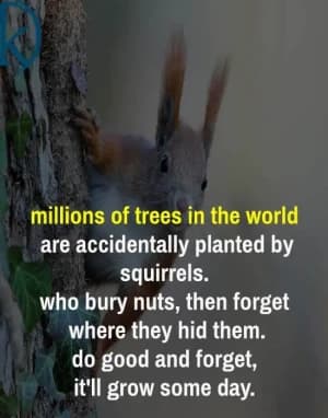 Millions of trees in the world are accidentally planted by squirrels. Who bury nuts, then forgets where they hid them. Do good and forget, it'll grow someday.