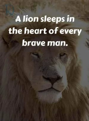 A lion sleeps in the heart of every brave man.