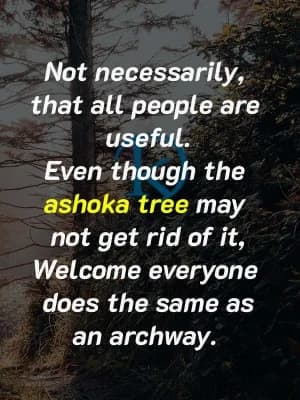 Not necessarily all people are useful. Even though the Ashoka tree may not get rid of it, welcome everyone does the same as an archway.