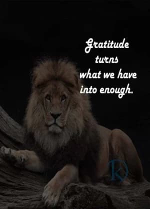 Gratitude turns what we have into enough.