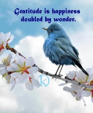 Gratitude is happiness doubled by wonder.