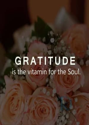 Gratitude is the vitamin for the soul.