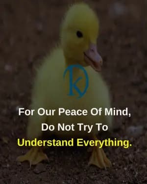 For our peace of mind, do not try to understand everything.