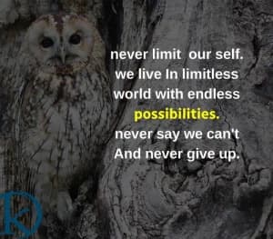Never limit ourselves. We live in a limitless world with endless possibilities. Never say we can't, and never give up.