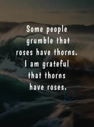 Some people grumble that roses have thorns. I am grateful that thorns have roses.