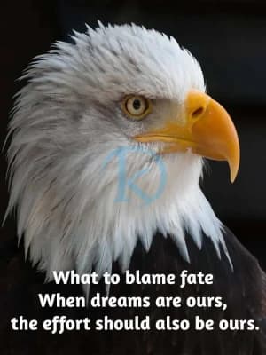 What to blame fate? When dreams are ours, the effort should also be ours.