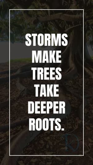 Storms make trees take deeper roots.