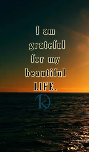 I am grateful for my beautiful life.