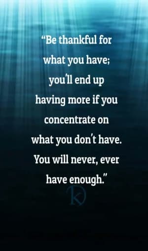 Be thankful for what you have; you'll end up having more if you concentrate on what you don't have. You will never ever have enough.