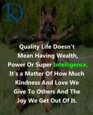 Quality life doesn't mean having wealth, power, or super intelligence. It's a matter of how much kindness and love we give to others and the joy we get out of it.