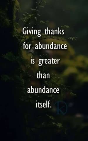 Giving thanks for abundance is greater than abundance itself.