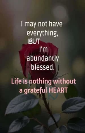 I may not have everything, but I'm abundantly blessed. Life is nothing without a grateful heart.