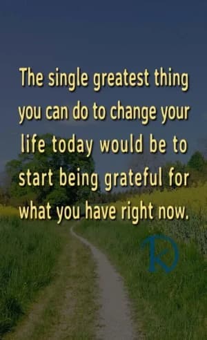 The single greatest thing you can do to change your life today would be to start being grateful for what you have right now.