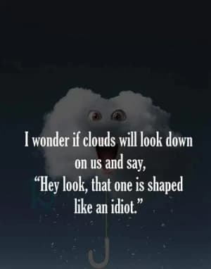 I wonder if clouds will look down on us and say, "Hey, look, that one is shaped like an idiot."