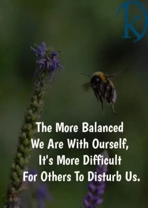 The More Balanced We Are with Ourselves, It's More Difficult for Others to Disturb Us.