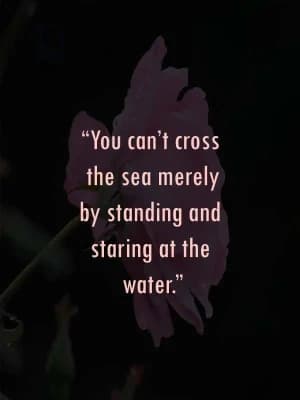 You can't cross the sea merely by standing and staring at the water.