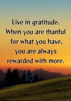 Live in gratitude. When you are thankful for what you have, you are always rewarded with more.