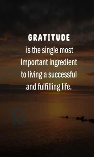 Gratitude is the single most important ingredient to living a successful and fulfilling life.