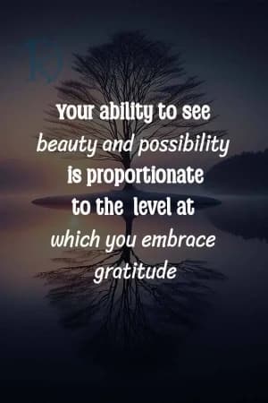 Your ability to see beauty and possibility is proportionate to the level at which you embrace gratitude.