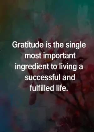 Gratitude is the single most important ingredient to living a successful and fulfilled life.