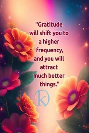 Gratitude will shift you to a higher frequency, and you will attract much better things.