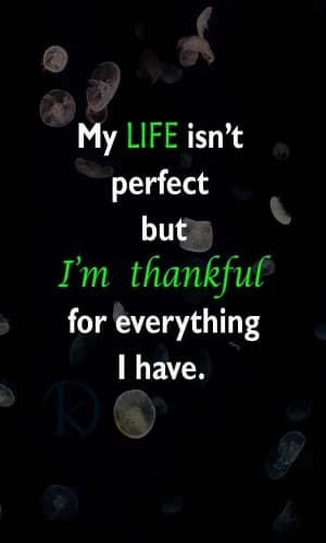 My life isn't perfect, but I'm thankful for everything I have.