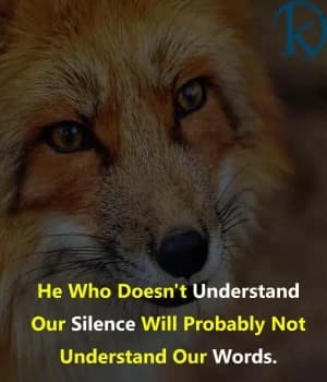 He who doesn't understand our silence will probably not understand our words.