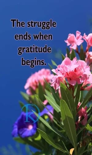 The struggle ends when gratitude begins.