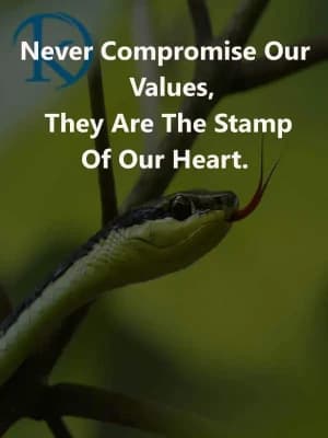 Never compromise our values, they are the stamp of our heart.
