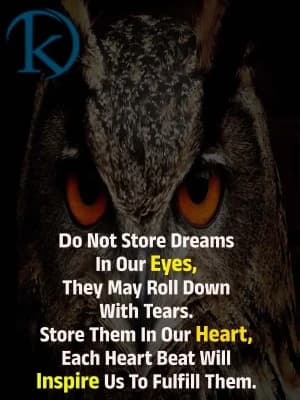 Do Not Store Dreams In Our Eyes, They May Roll Down With Tears. Store Them In Our Heart, Each Heartbeat Will Inspire Us To Fulfill Them.