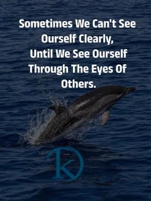 Sometimes we can't see ourselves clearly until we see ourselves through the eyes of others.
