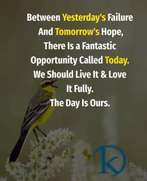Between yesterday's failure and tomorrow's hope, there is a fantastic opportunity called today. We should live it & love it fully. The day is ours.